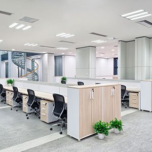 Reforma Corporativa